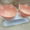 Non Slip Double Cat Bowl With Inclined Stand For Food And Water 9