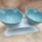 Non Slip Double Cat Bowl With Inclined Stand For Food And Water 7