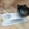 Non Slip Double Cat Bowl With Inclined Stand For Food And Water 15