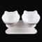 Non Slip Double Cat Bowl With Inclined Stand For Food And Water 10