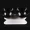 Non Slip Double Cat Bowl With Inclined Stand For Food And Water 8