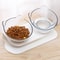 Non Slip Double Cat Bowl With Inclined Stand For Food And Water 17