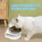 Non Slip Double Cat Bowl With Inclined Stand For Food And Water 19