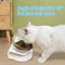 Non Slip Double Cat Bowl With Inclined Stand For Food And Water 19
