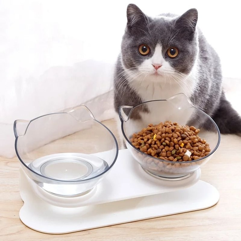 Non Slip Double Cat Bowl With Inclined Stand For Food And Water 0