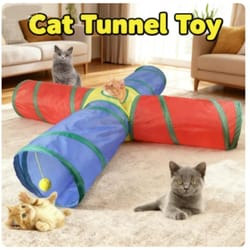 collapsible cat tunnel play tube interactive indoor outdoor pet toy