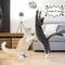 Interactive Cat Toy Balls With Stretchable Springs And Rolling Caged Rat Design 4