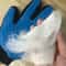 Pet Grooming Glove Deshedding Brush For Cats And Dogs Massage Hair Remover 13