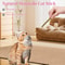 Natural Matatabi Silvervine Cat Sticks Teeth Cleaning Chew Toy Set 6 Pieces 7