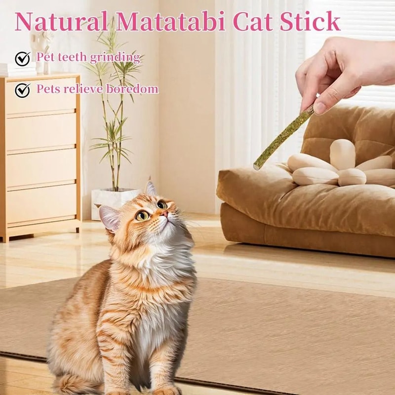 Natural Matatabi Silvervine Cat Sticks Teeth Cleaning Chew Toy Set 6 Pieces 7