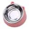 Inclined Stainless Steel Cat Bowl Cute Raised Pet Feeding Bowl For Cats And Small Dogs 7