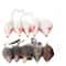 10 Pack Plush Mouse Cat Toys Soft Interactive Play Toys For Indoor Cats And Kittens 6