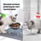 304 Stainless Steel Raised Cat Bowl 15 Degree Elevated Pet Feeding Bowl For Cats And Puppies 4