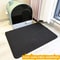 Double Layer Waterproof Cat Litter Mat Non Slip Pet Litter Box Filter Mat 1