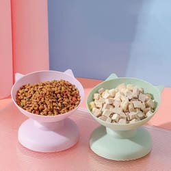 elevated cat food bowl 45 degree tilted anti spill pet feeding bowl for cats and small dogs