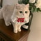 Princess Style Cat Collar Lace Ribbon Bowtie Necklace With Bell For Cats And Small Dogs 4