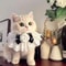 Princess Style Cat Collar Lace Ribbon Bowtie Necklace With Bell For Cats And Small Dogs 3