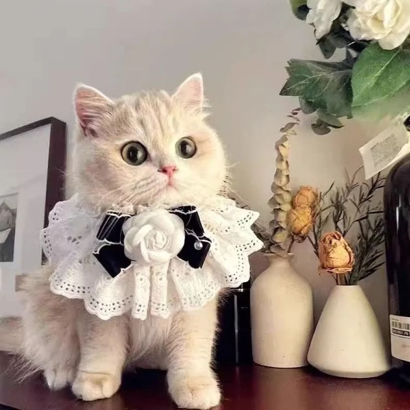Princess Style Cat Collar Lace Ribbon Bowtie Necklace With Bell For Cats And Small Dogs 3