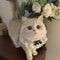 Princess Style Cat Collar Lace Ribbon Bowtie Necklace With Bell For Cats And Small Dogs 6