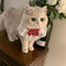 Princess Style Cat Collar Lace Ribbon Bowtie Necklace With Bell For Cats And Small Dogs 8