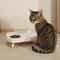 Double Elevated Pet Bowl No Spill Food And Water Feeder With Anti Slip Stand For Cats And Dogs 9