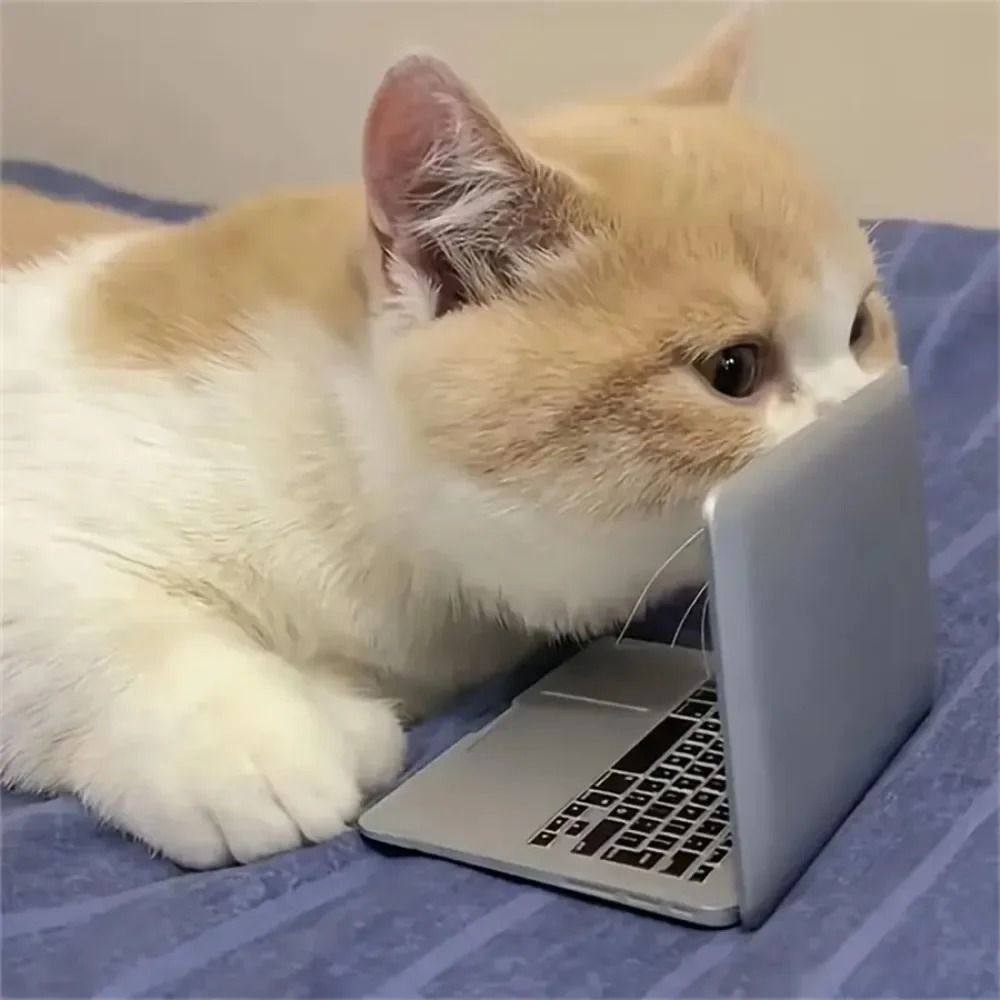 Mini Interactive Cat Toy Tiny Cat Laptop Mirror Play Toy For Kittens And Cats 4