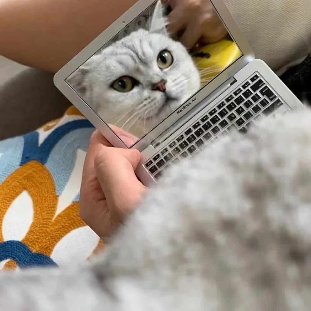 Mini Interactive Cat Toy Tiny Cat Laptop Mirror Play Toy For Kittens And Cats 5