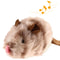 GiGwi Interactive Cat Toy Sound Bird Mouse And Hedgehog Feather Toys For Cats 3