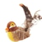 GiGwi Interactive Cat Toy Sound Bird Mouse And Hedgehog Feather Toys For Cats 2