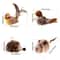 GiGwi Interactive Cat Toy Sound Bird Mouse And Hedgehog Feather Toys For Cats 5