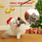 GiGwi Interactive Cat Toy Sound Bird Mouse And Hedgehog Feather Toys For Cats 6