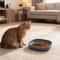 2 Piece Whisker Friendly Cat Bowls Wide Shallow Silicone Non Spill Pet Feeding Plates 7