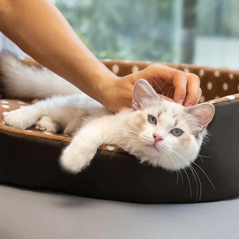 Cozy Plush Cat Cave Bed Indoor Pet Sleeping Basket Mat For Cats And Small Dogs 0