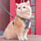 Adjustable Anti Escape Cat Harness And Leash Set 9