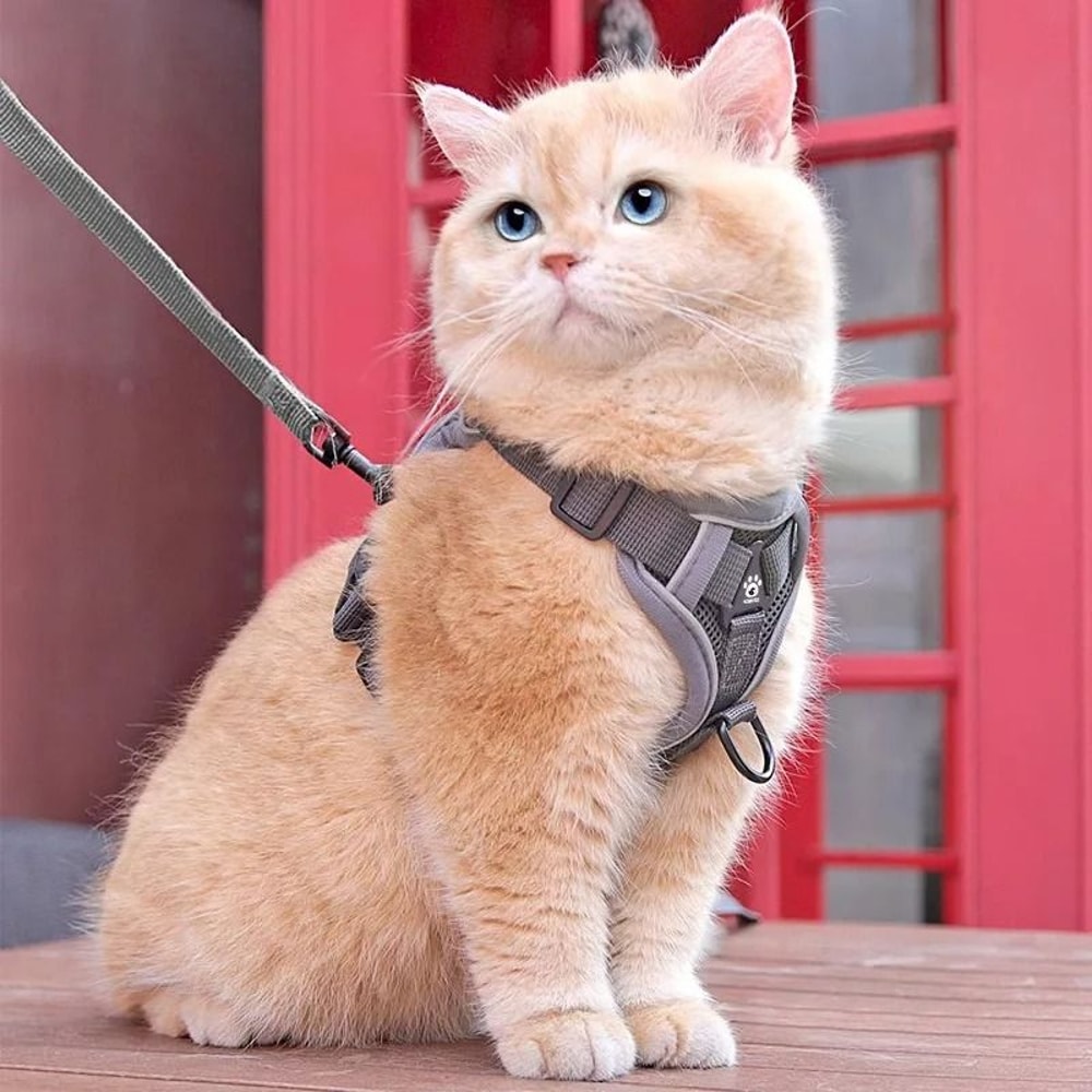 Adjustable Anti Escape Cat Harness And Leash Set 7