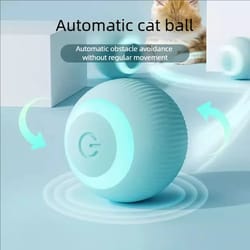 smart rolling cat toy ball for indoor interactive play