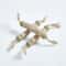 Natural Catnip Teeth Cleaning Stick For Cats 5
