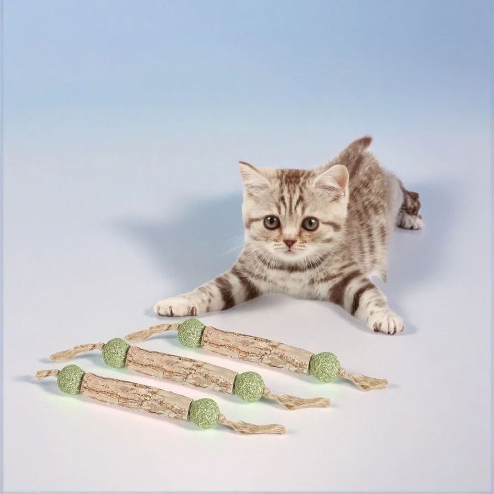 Natural Catnip Teeth Cleaning Stick For Cats 6