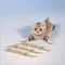 Natural Catnip Teeth Cleaning Stick For Cats 6