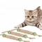 Natural Catnip Teeth Cleaning Stick For Cats 0