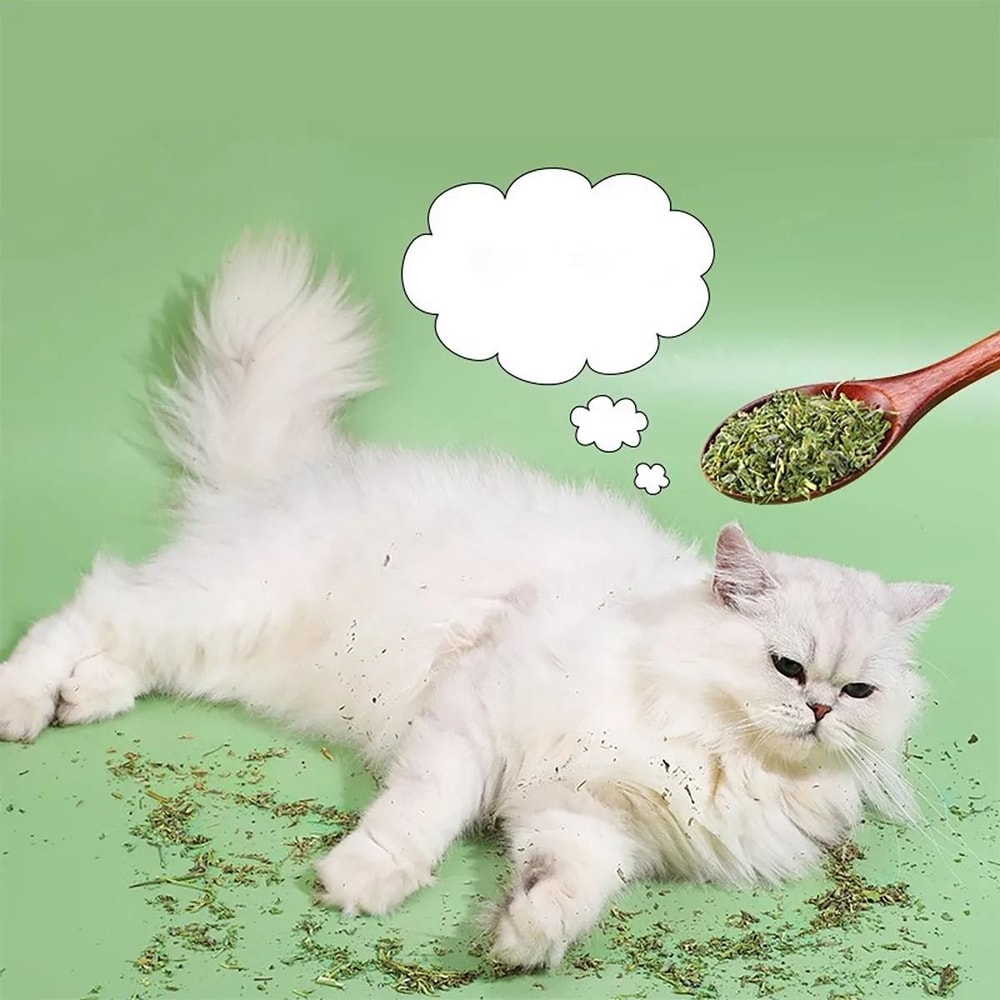 Natural Catnip Cat Grass Chew Toy For Indoor Cats 4