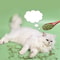 Natural Catnip Cat Grass Chew Toy For Indoor Cats 4