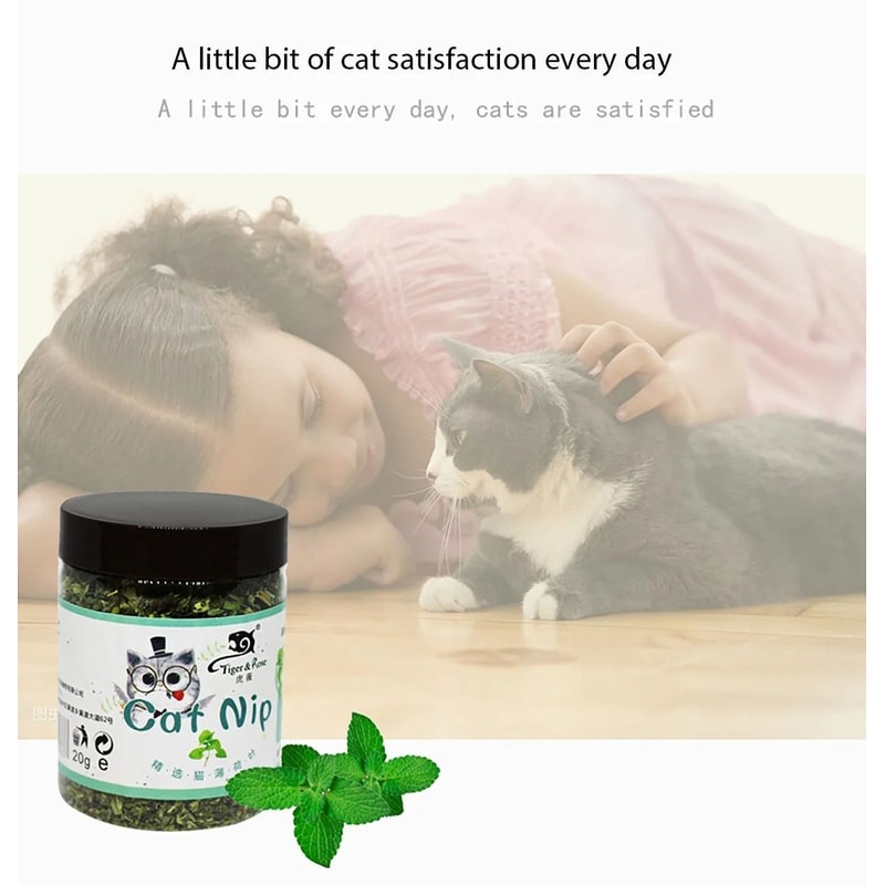 Natural Catnip Cat Grass Chew Toy For Indoor Cats 6