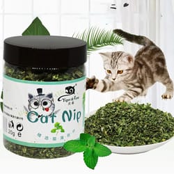 natural catnip cat grass chew toy for indoor cats