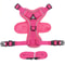 Adjustable Reflective Cat Harness And Leash Set 2