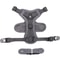 Adjustable Reflective Cat Harness And Leash Set 6