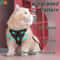 Adjustable Reflective Cat Harness And Leash Set 7