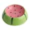 Cute Ceramic Cat Food Bowl FFruit Ceramic Pet Bowl For Cats And Small Dogsor Small Pets 5