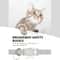 AirTag Compatible Reflective Cat Collar With Breakaway Bell 10