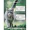 AirTag Compatible Reflective Cat Collar With Breakaway Bell 11